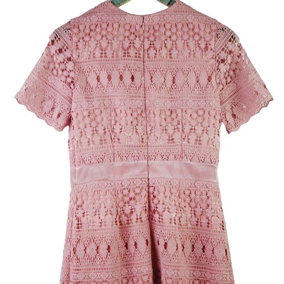 Rachel Parcell Lace Bodice, Velvet Waist Lined Midi Pencil Dress, Pink Bride, S - Picture 5 of 10